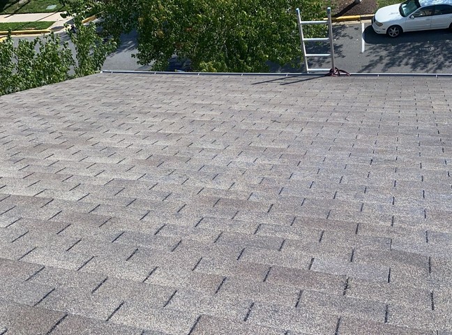 Roofing Services services